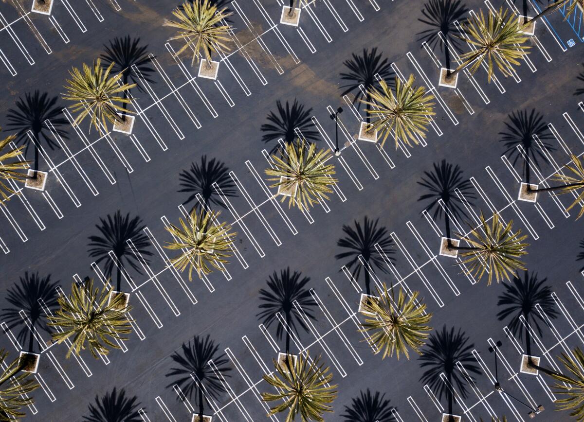 Aerial view of an empty shopping mall parking lot with palm trees