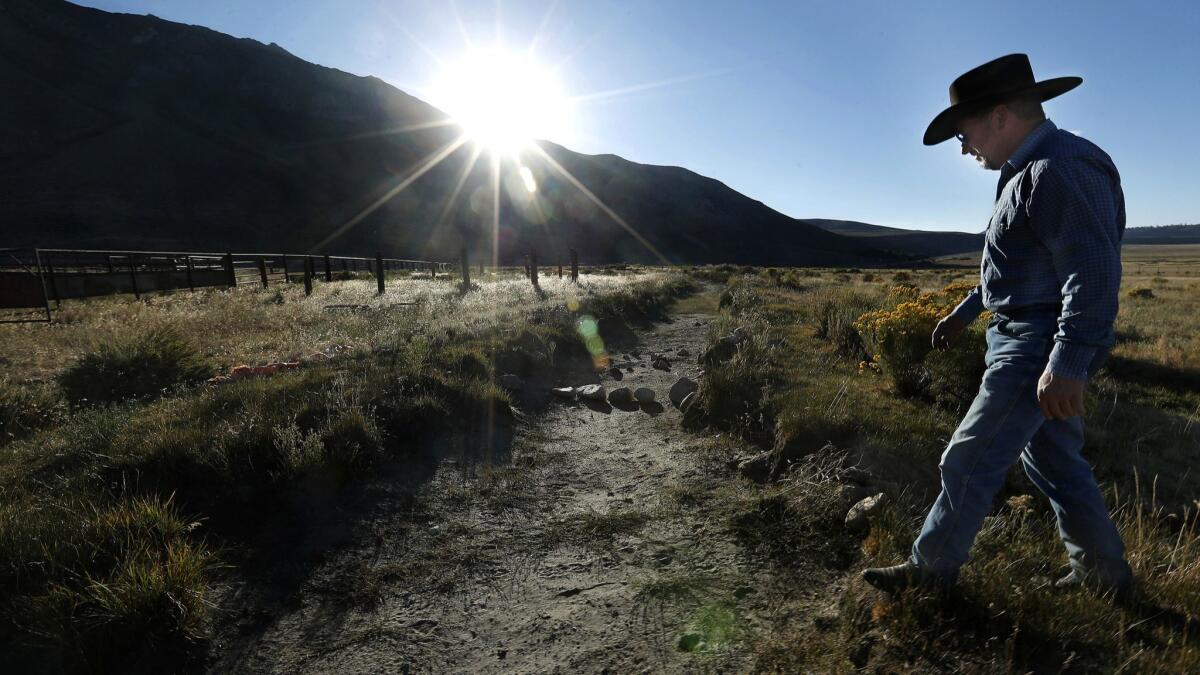 Mark Lacey walks by an empty irrigation ditch on land off Highway 395 in Mono County that he has leased from the Los Angeles Department of Water and Power since 2002.