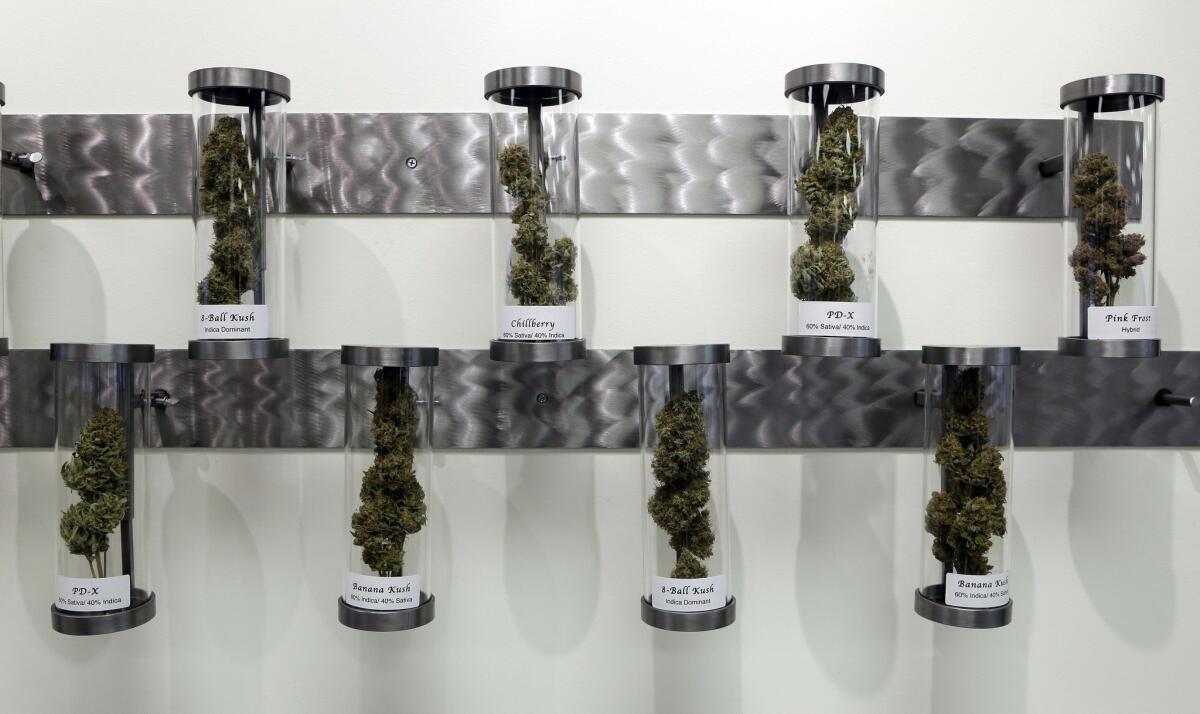 Samples of cannabis are displayed at Shango Premium Cannabis dispensary in Portland, Ore., on Wednesday. Oregon voters have made their state the third to legalize recreational pot, but it will be more than a year before the first shops open.