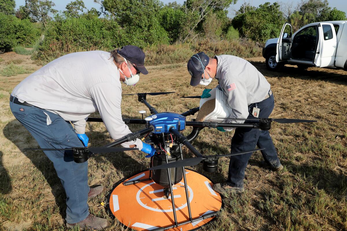 Drone operators John Savage, right, and John Drake fill a drone with VectoBac GS at Harriett Wieder Regional Park.