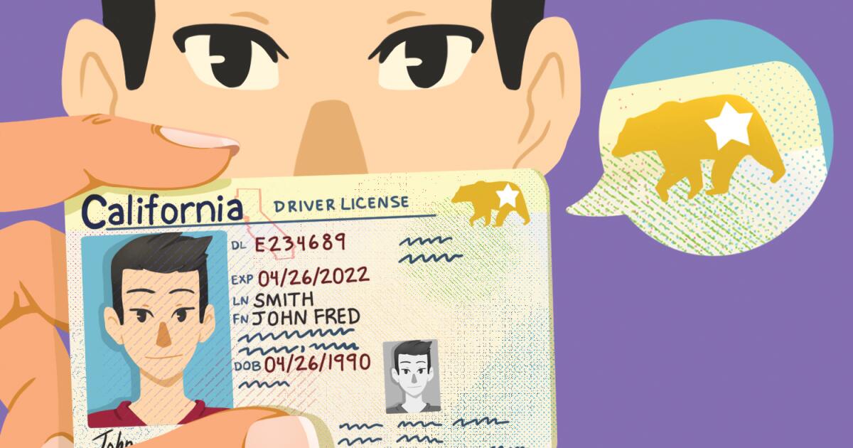 Ignore this Real ID story at your peril as the clock ticks toward the deadline