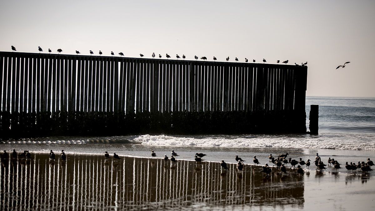 Birds fly around the border fence prior to a press conference at Border Field State Park where Secretary of Homeland Security Kirstjen Nielsen discusses border security and the migrant caravan in San Diego, California.