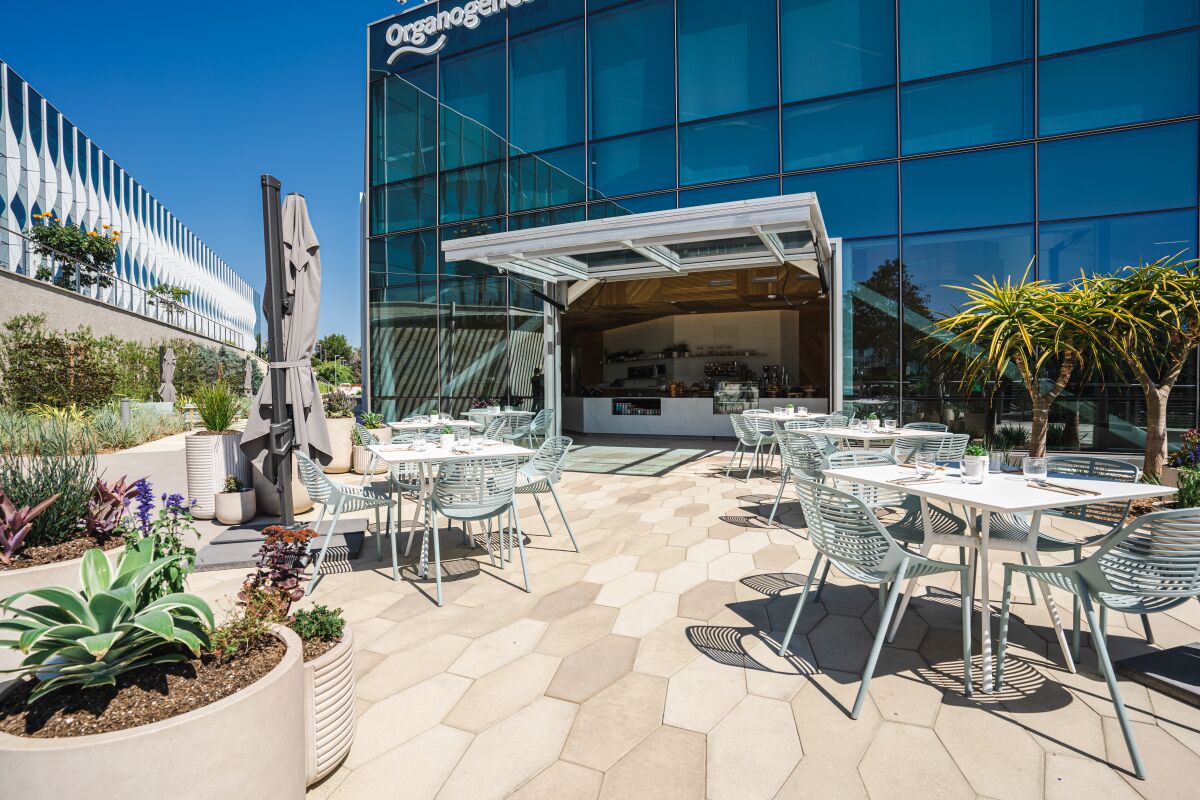 The patio dining area at Gold Finch Modern Delicatessen in La Jolla.