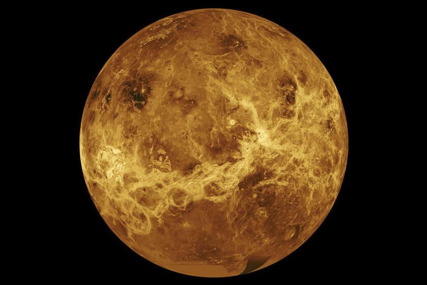 This image made available by NASA shows the planet Venus made with data from the Magellan spacecraft and Pioneer Venus Orbiter. On Wednesday, June 2, 2021, NASA’s new administrator, Bill Nelson, announced two new robotic missions to the solar system's hottest planet, during his first major address to employees. (NASA/JPL-Caltech via AP)