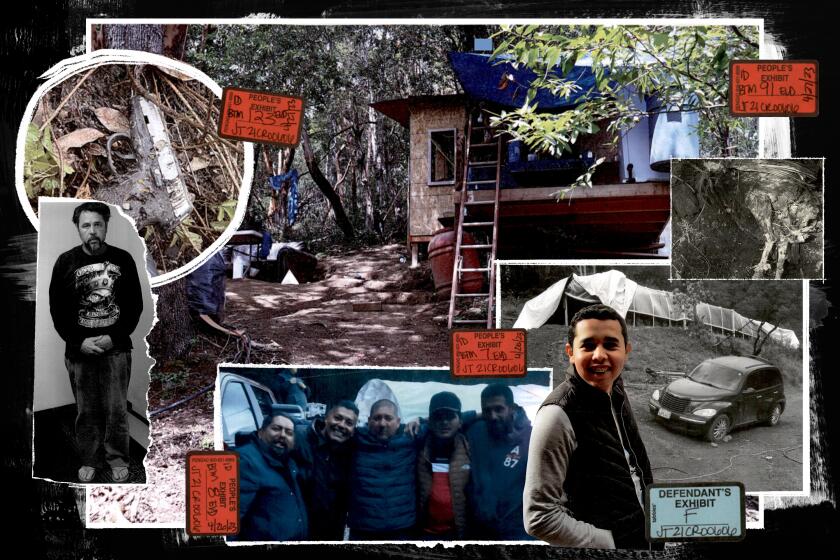 Photo illustration of evidence photos of a structure in the woods, a gun, a group of people, grow site