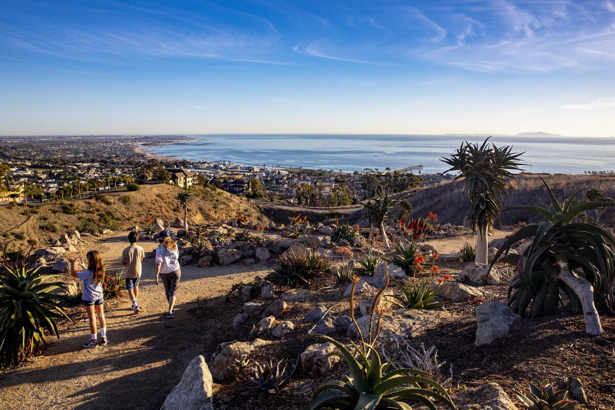 Hikers walk through a garden with a view of the Pacific Ocean