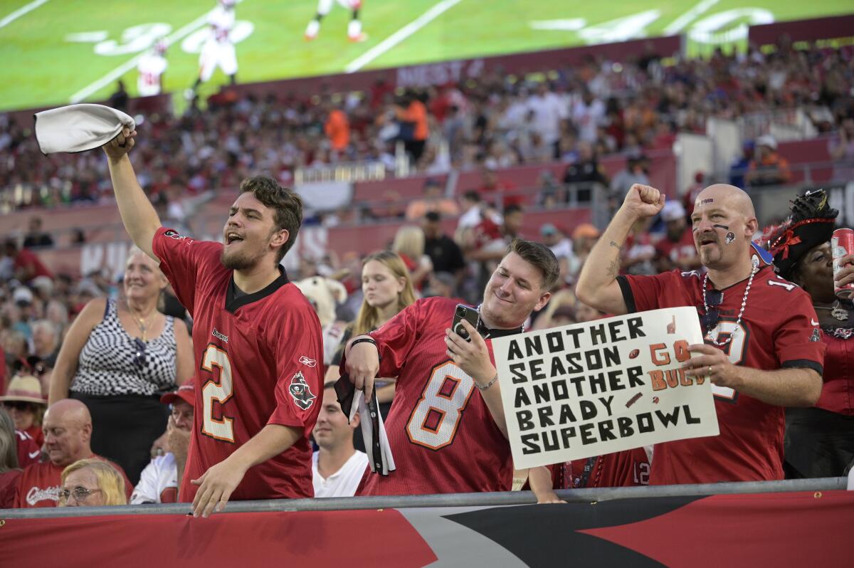 A Buffalo Bills fan cheers from the stands during the second half