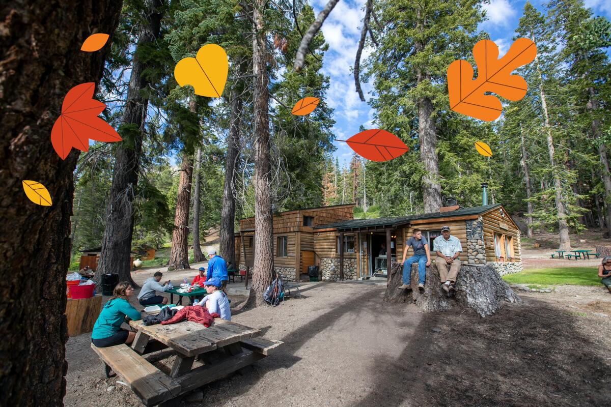 People sitting on picnic benches and tree stumps outside a log structure. Illustrated leaves float by.