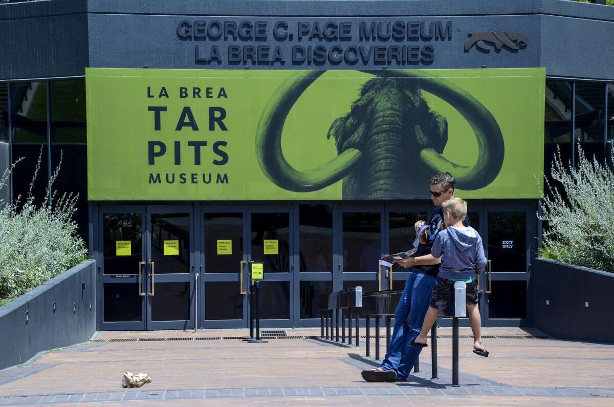 La Brea Tar Pits Museum, 5801 Wilshire Blvd., Los Angeles. (Christopher Reynolds)