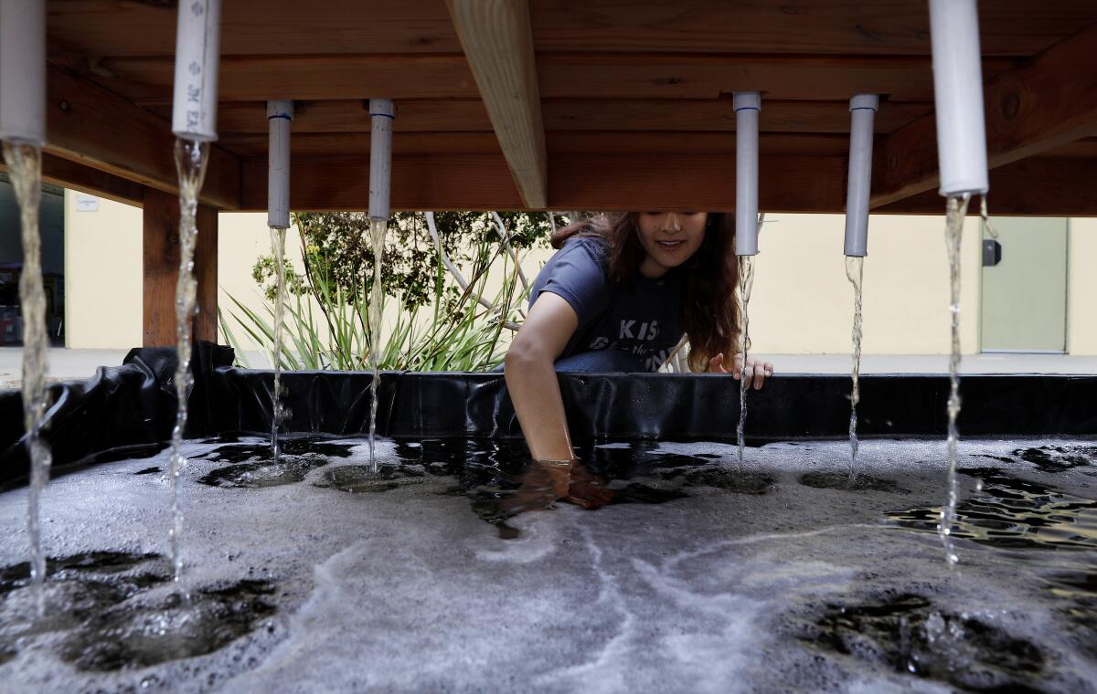 A young woman reaches into foamy water in her aquaponics system. 