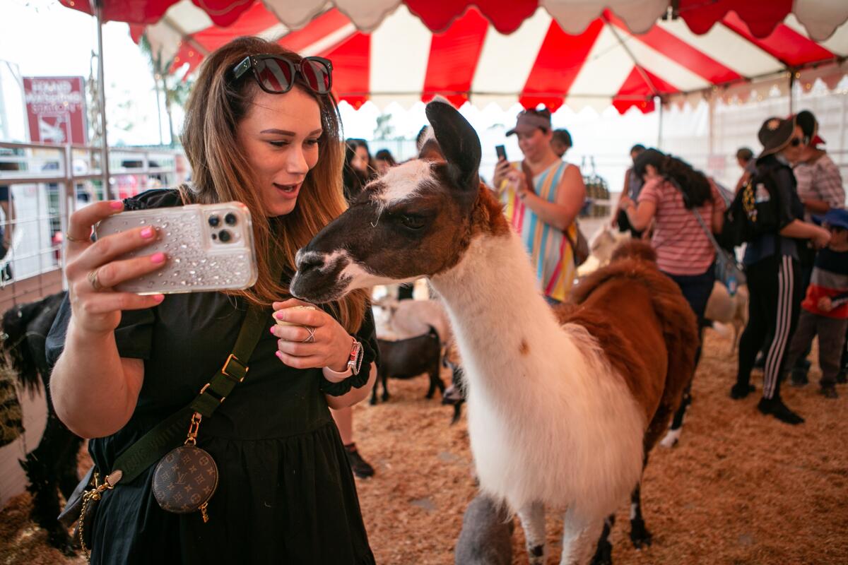 A woman takes a selfie in a petting zoo.