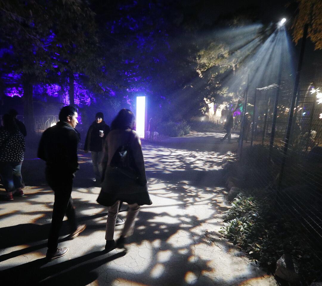 Photo Gallery: Descanso Gardens Enchanted Forest of Light