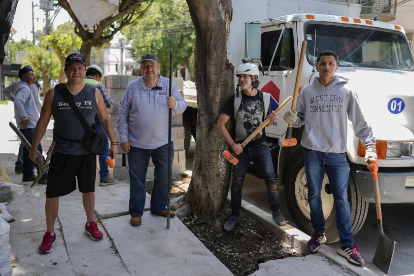 Arturo Hernández, segundo de derecha a izquierda, posa junto a otros miembros del Ejército de Árboles, un grupo cuya misión es proteger y mejorar el bosque urbano de Ciudad de México, luego de romper concreto que fue colocado sobre las raíces de un árbol, en Ciudad de México, el lunes 26 de agosto de 2024. (AP Foto/Eduardo Verdugo)