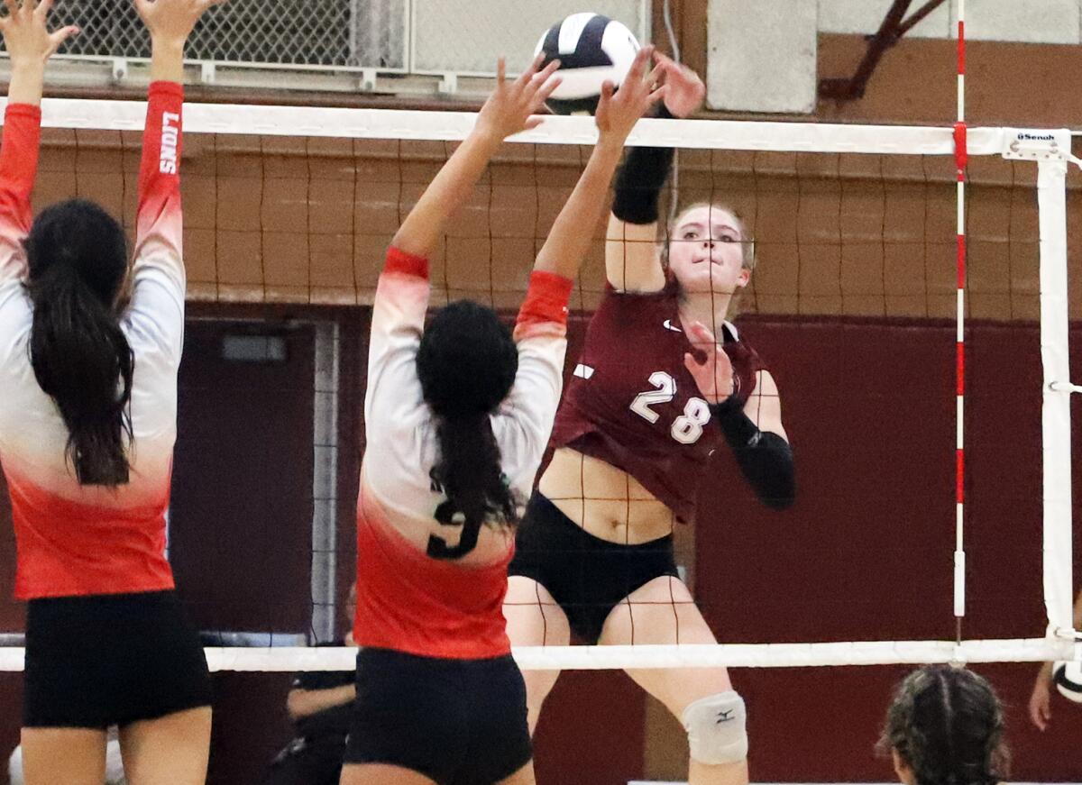 Ocean View's Jade Auger (28) spikes the ball against Westminster in a Golden West League match on Oct. 11.