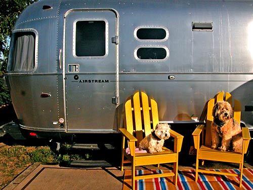 Bonnie, left, a West Highland terrier, and Darby, a wheaten terrier, sit outside a $150-a-night Airstream trailer at the Santa Cruz / Monterey Bay KOA. The campground includes a dog agility course and fenced play park.