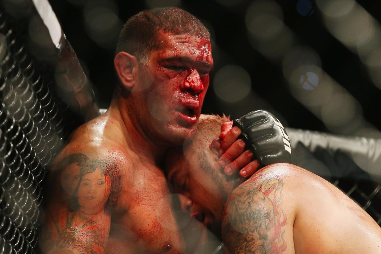 Antonio Silva, Mark Hunt