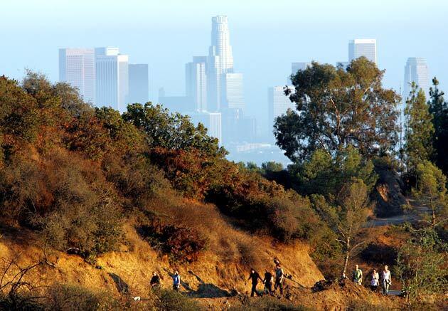4. Griffith Park: To the top of Hollywood