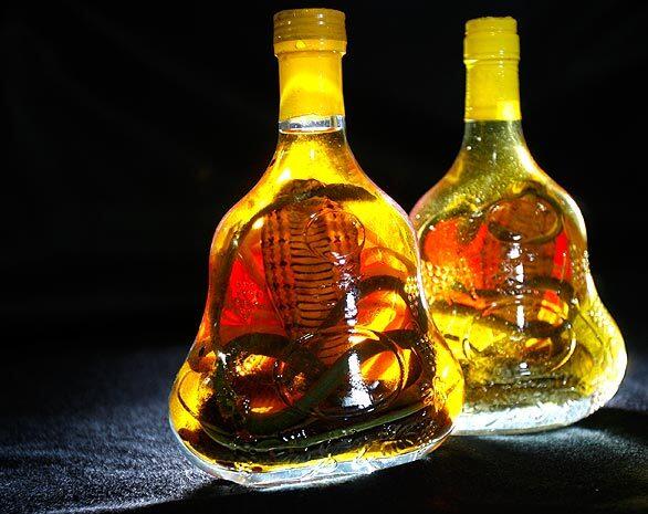 Snake wine