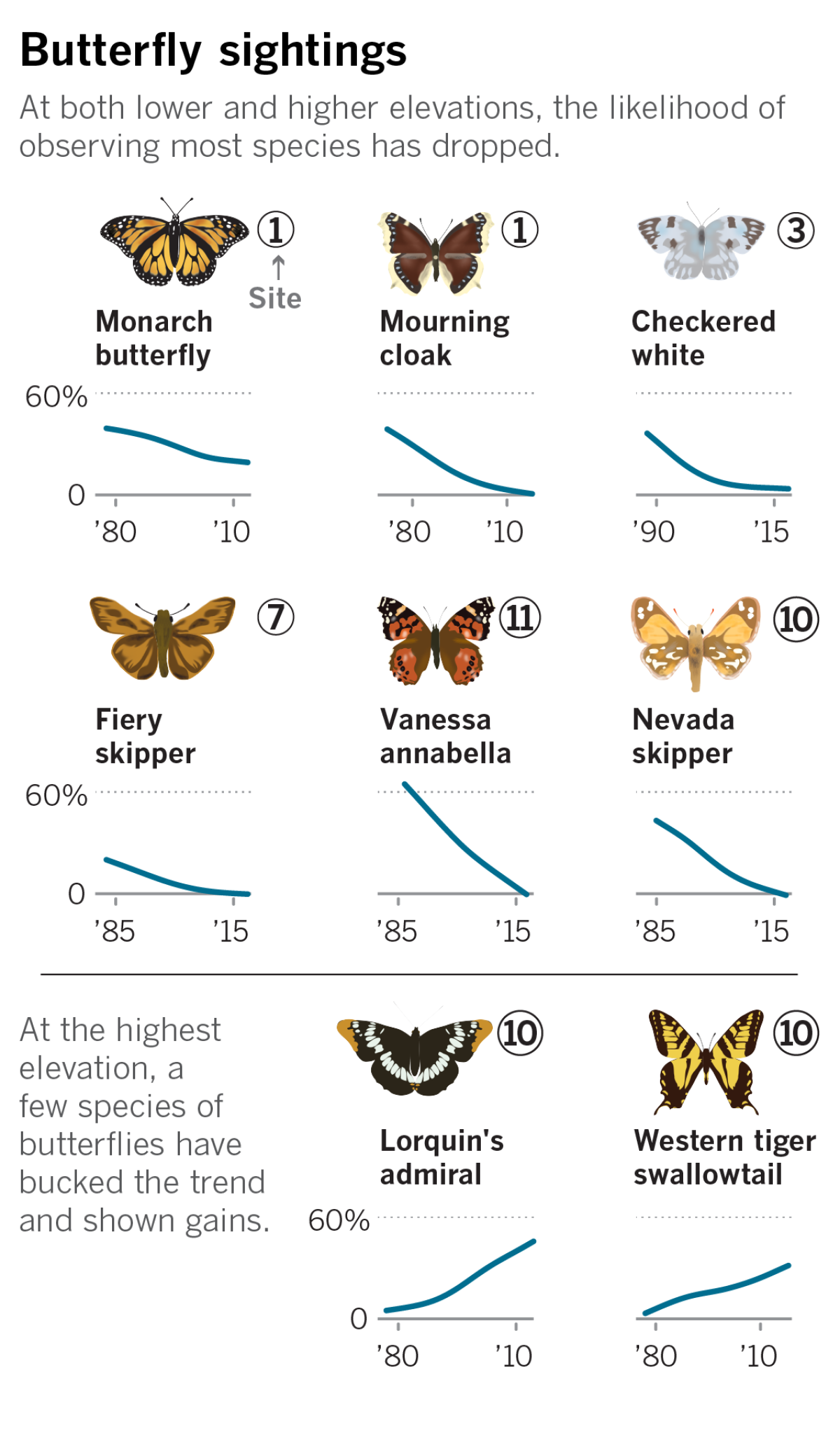 Chart showing the chances of a butterfly sighting in low and high elevations.