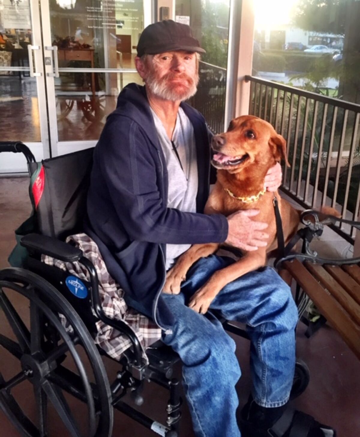Hobo reunited with Dreamer after four months apart while Hobo dealt with surgery.