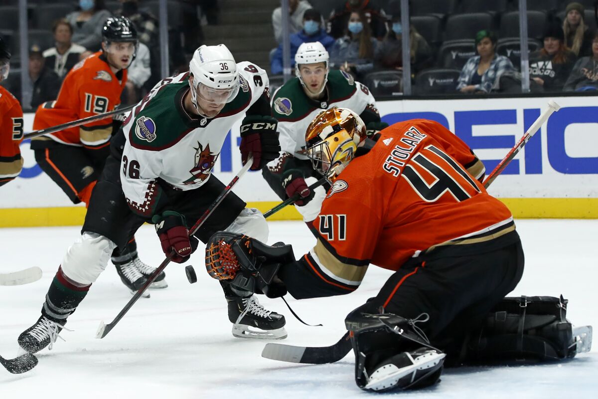 The puck pops out of the glove of Ducks goalie Anthony Stolarz in front of Coyotes winger Christian Fischer (36). 