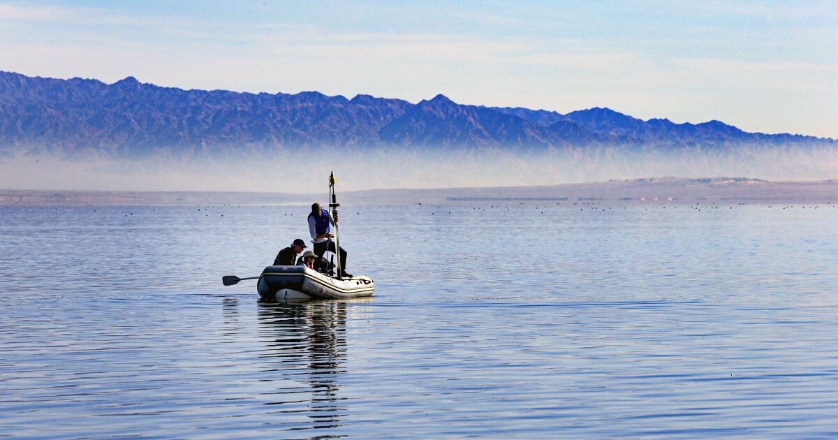 Can lithium cure what ails the Salton Sea? – Los Angeles Times