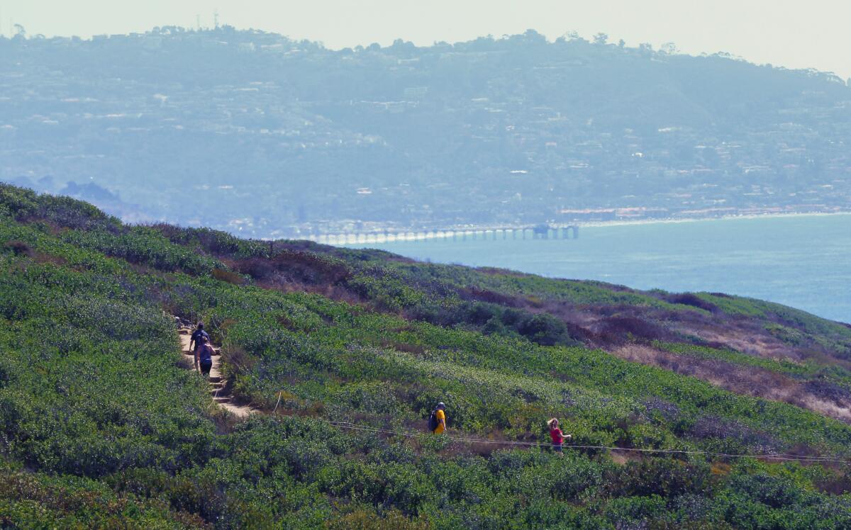 Hikers explore the trails at Torrey Pines State Reserve in San Diego County.
