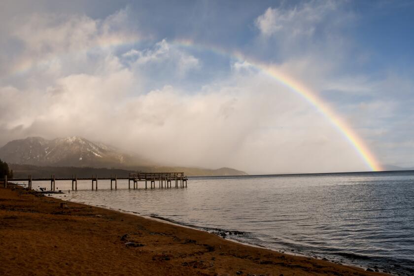 At Camp Richardson on the south shore of Lake Tahoe, you sometimes catch a rainbow rising from the water, or mushrooms rising from the forest floor.