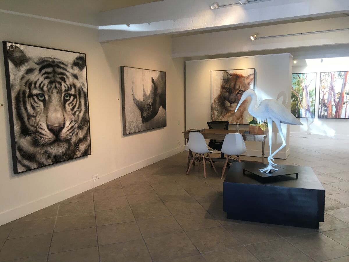 Artemis Fine Art Gallery on Prospect Street showcases artists who support conservation efforts.