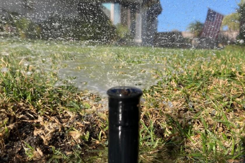 A sprinkler waters a lawn in Carlsbad on Wednesday.
