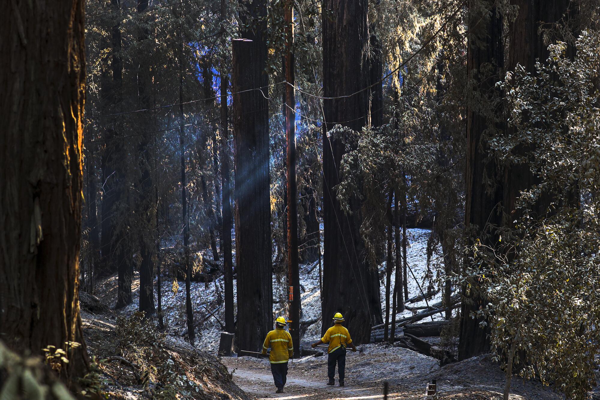 Paul Lellman and Jared Lomeli, firefighters from Santa Clara County, survey CZU Lightning Complex fire damage.