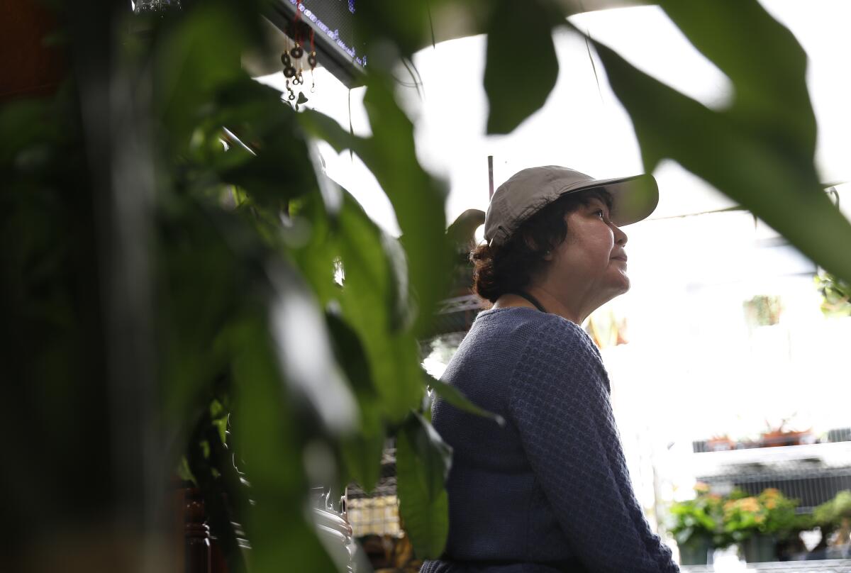 Phuong Hong works at a plant shop in Chinatown