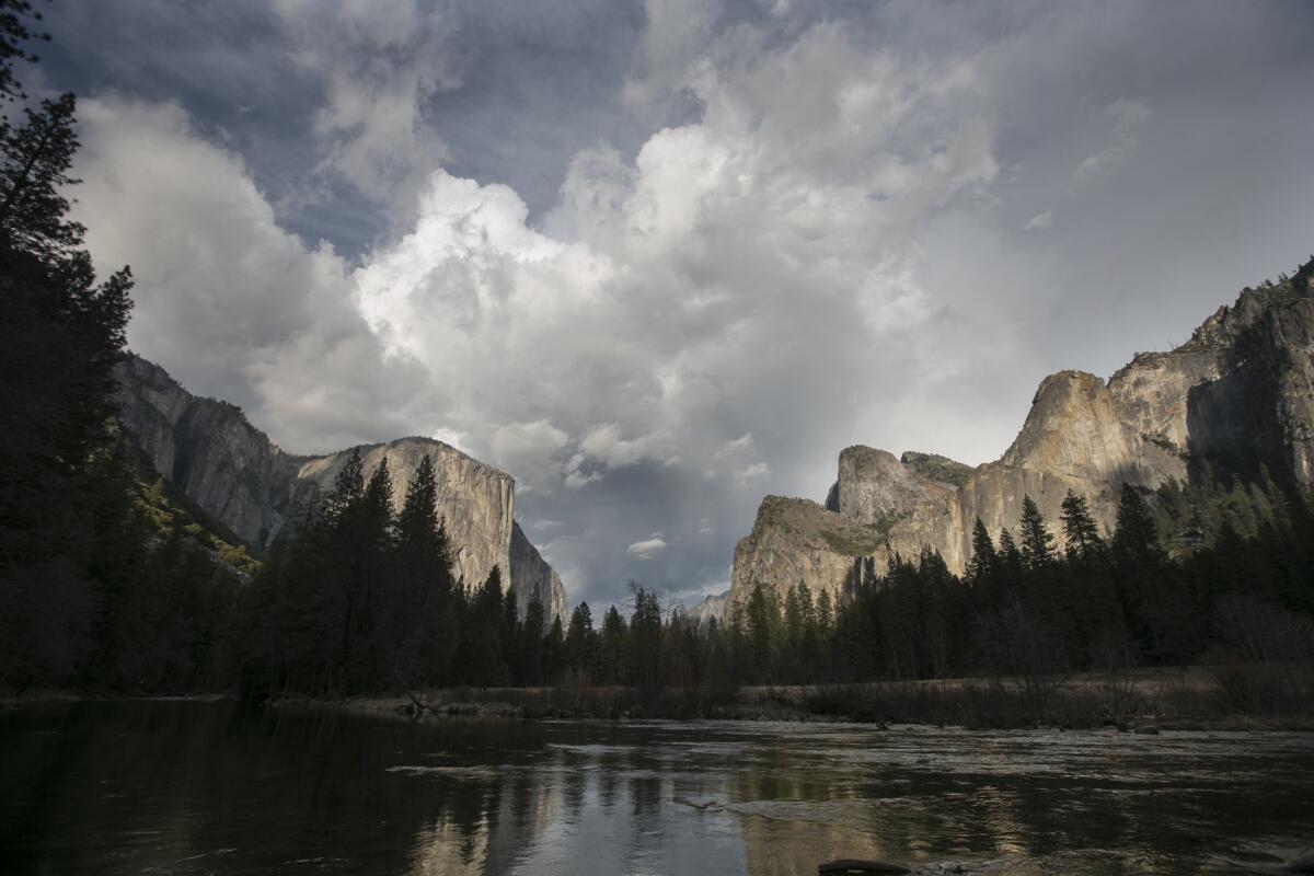 Dozens of Yosemite National Park visitors and employees have fallen sick in recent days with a gastrointestinal illness, including some confirmed cases of norovirus.