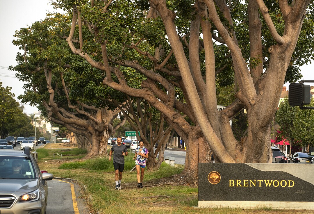 Joggers on San Vicente Boulevard in Brentwood.
