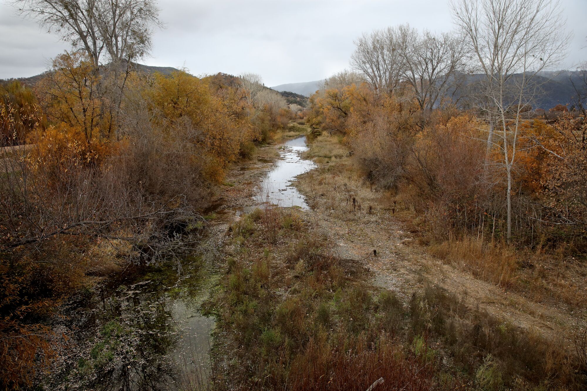 Low water levels along Middle Creek.