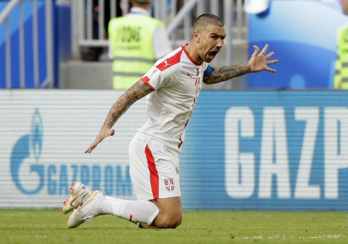 Aleksandar Kolarov of Serbia celebrates after scoring a goal against Costa Rica in the World Cup.