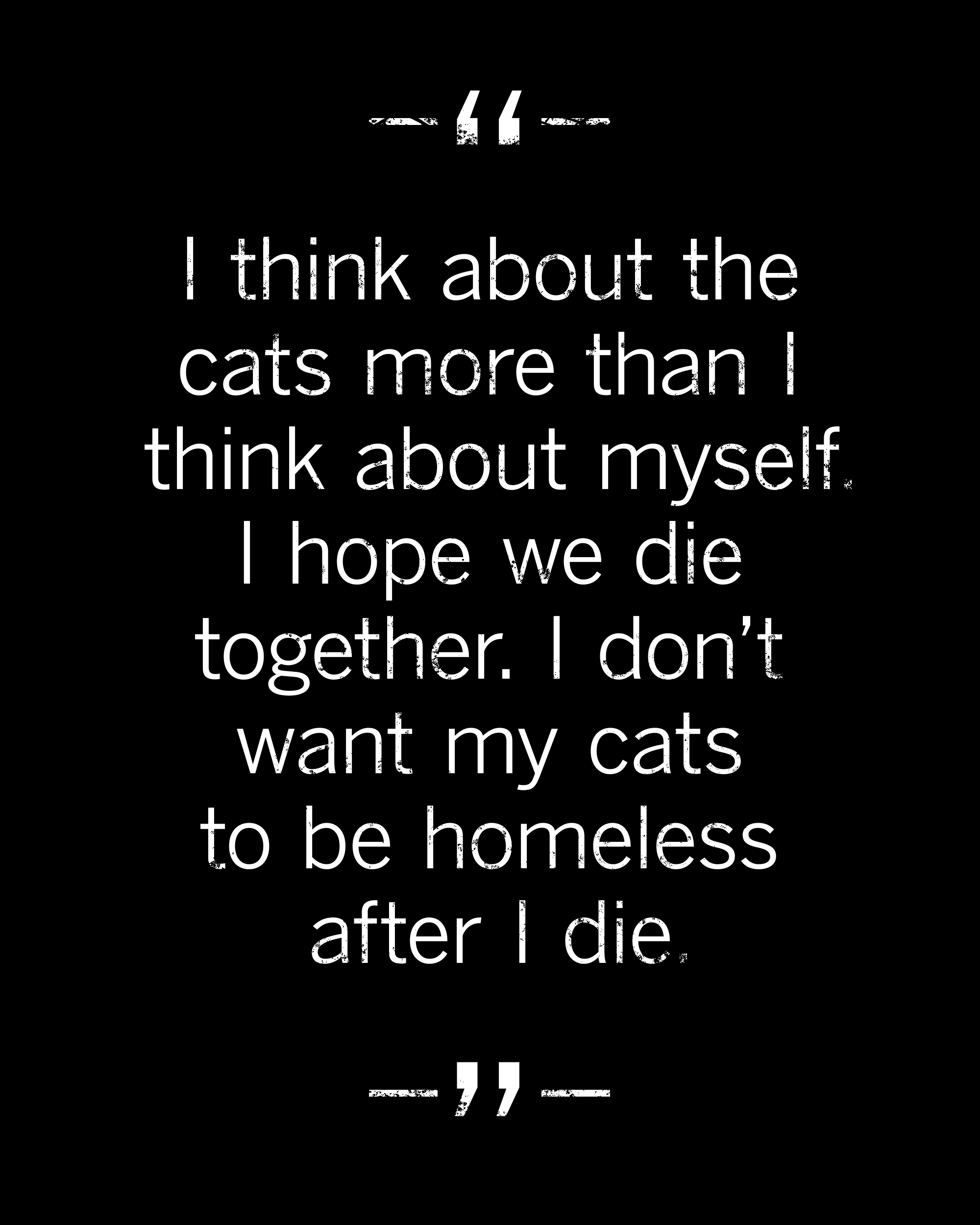 Je pense plus aux chats qu'à moi.  J'espère que nous mourrons ensemble.  Je ne veux pas que mes chats se retrouvent sans abri après ma mort.