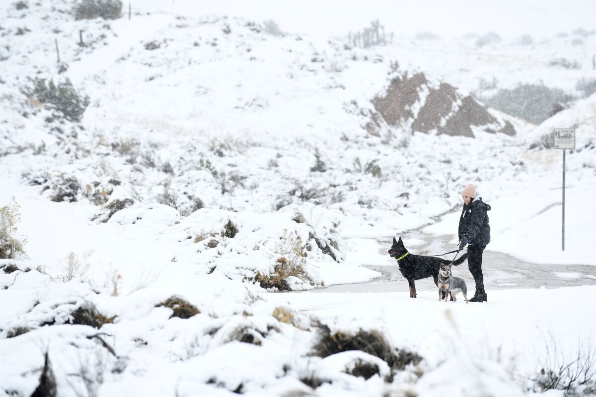 Katy DeGroot of Encino walks her dogs in the snow in Palmdale on Thursday.