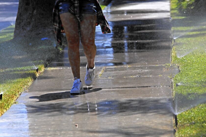 Sprinklers on Sherman Way in the San Fernando Valley soak the sidewalk as well as the grass.