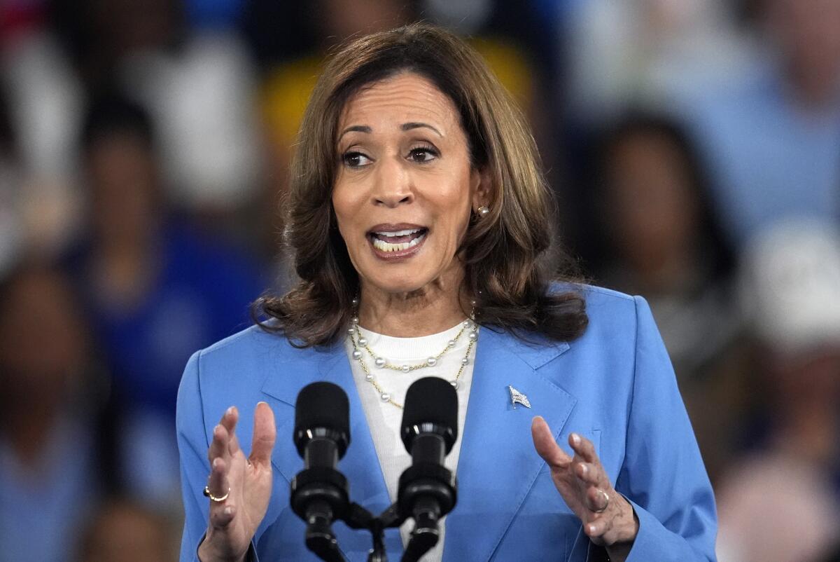 Vice President Kamala Harris speaks at a campaign event.