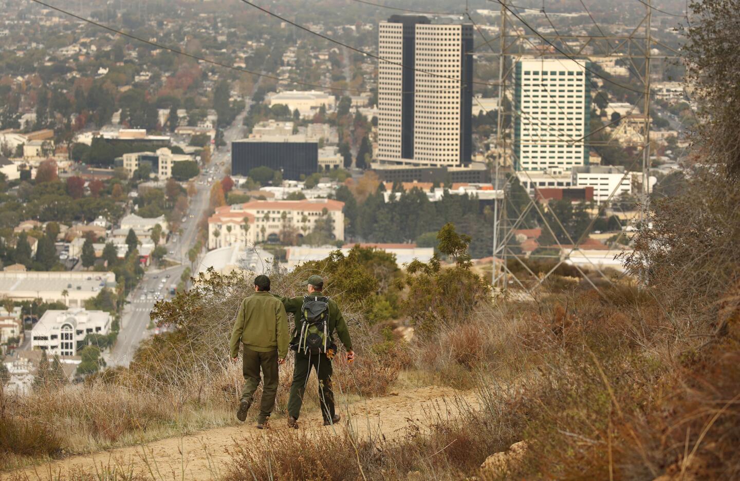 Seth Riley, left, a wildlife ecologist, and Jeff Sikich, a biologist for the National Park Service, walk the trails in the hills above Warner Bros. Studios looking for the remains of a deer likely killed and consumed by Griffith Park's P-22 mountain lion. The pair are using data from a radio collar worn by P-22 to locate the remains.