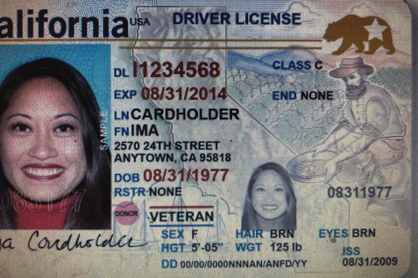 Las licencias y tarjetas de identificación “Real ID” en California se distinguen por la figura del oso color amarillo en la esquina superior derecha.
