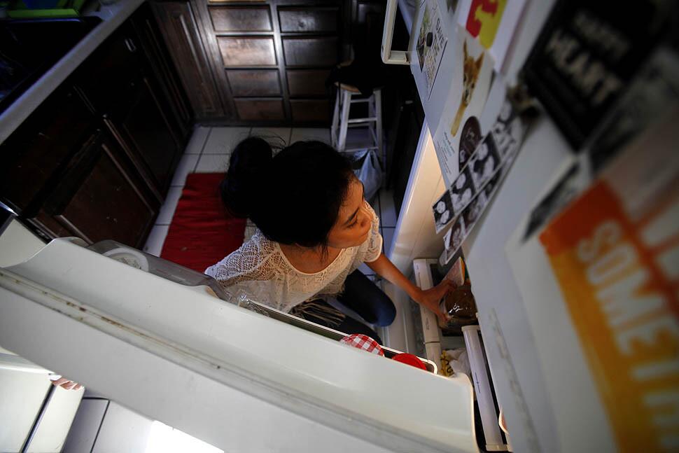 Refrigerator search