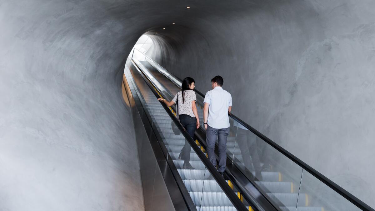 The Broad museum features a 105-foot escalator.