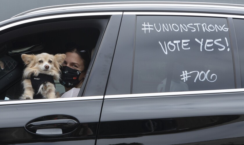 A woman and her dog sit in her car, on which is written "#UnionStrong Vote Yes #706," at a rally.