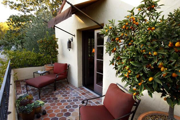Potted kumquats provide refreshing foliage and the bonus of edible fruit on a balcony. The front slope's gray-green backdrop of olive trees, a low-fruiting variety of Olea europaea called Wilsoni, are from Boething Treeland Farms in Woodland Hills.
