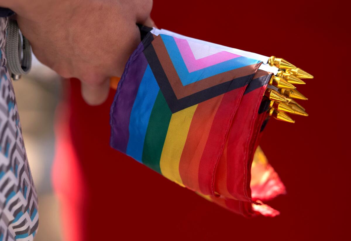 A close-up frame of a hand holding rainbow-striped flags