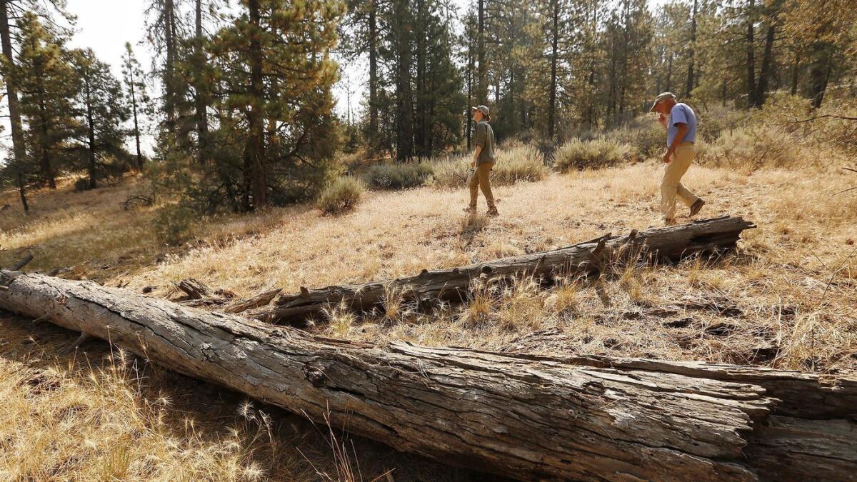 Bryant Baker, left, conservation director with Los Padres Forest Watch, and Jim Lowery, a Frazier Park resident, in the Tecuya Ridge area.