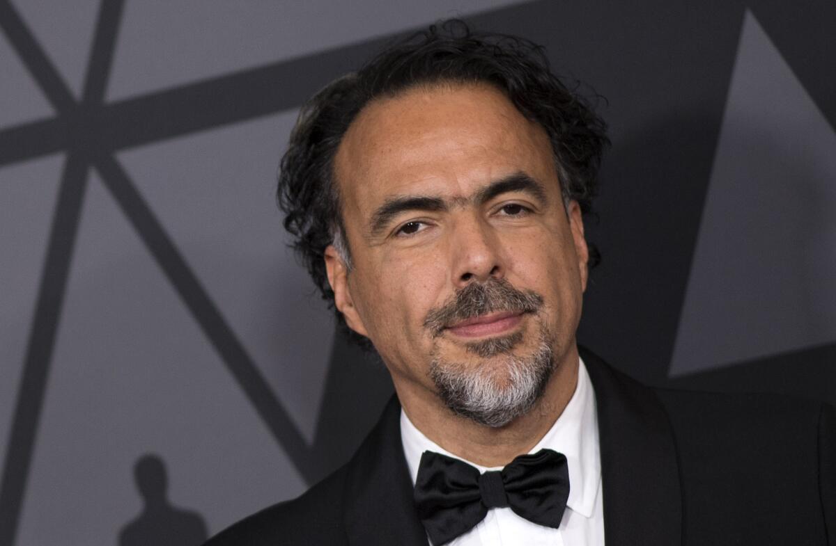 Director Alejandro G. Inarritu