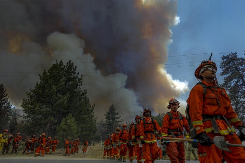Hand crews march to fight the Cranston fire raging along Highway 74 in Mountain Center.